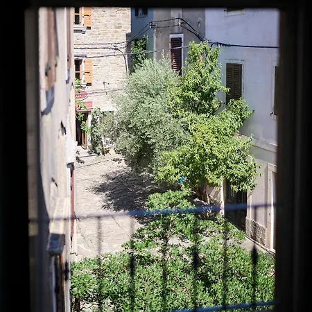 Apartment Casa Gina *